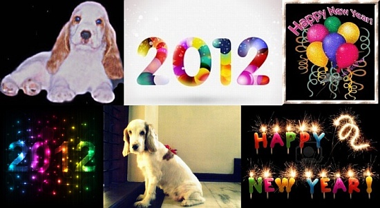 New Year.