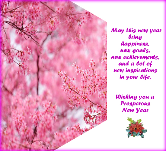 Warm Wishes Of New Year!!!