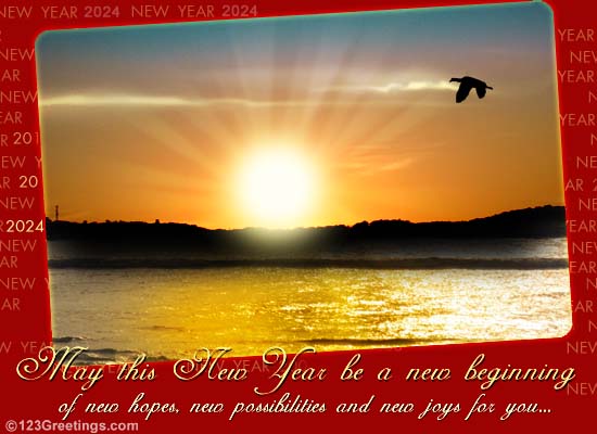 New Year Hopes And Joys...