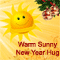 Warm Sunny New Year Hug.