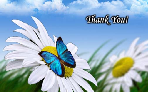 Thank With A Flower! Free Thank You eCards, Greeting Cards | 123 Greetings