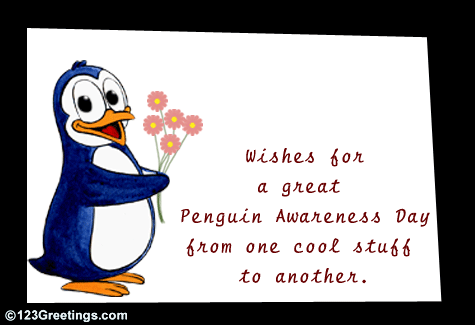 From A Cool Penguin...