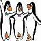 Penguins For You!