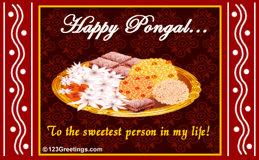 Free Pongal eCards, Greeting Cards from 123greetings.com