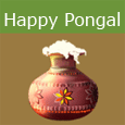 pongal greeting cards