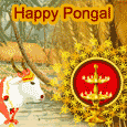 Warm Pongal Wishes.