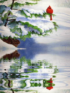 Peaceful Wintry Scene.
