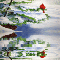 Peaceful Wintry Scene.
