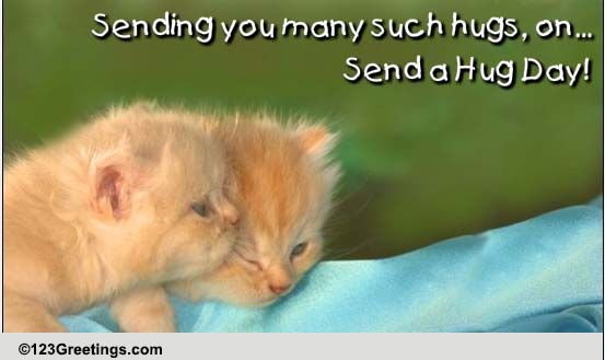 Send A Hug Day Cute Hugs Cards Free Send A Hug Day Cute Hugs Wishes