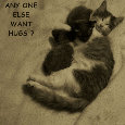 Any More Hugs Cats?