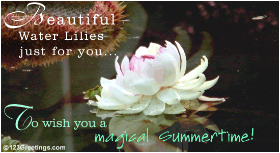 Magical Summertime!