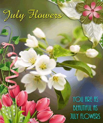 My July Flowers Ecard. Free July Flowers eCards, Greeting Cards | 123