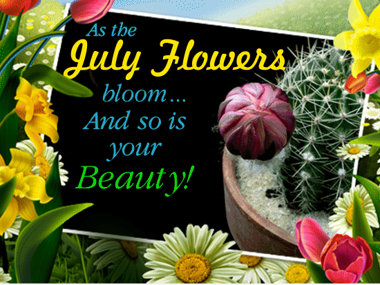 As The July Flowers Bloom...