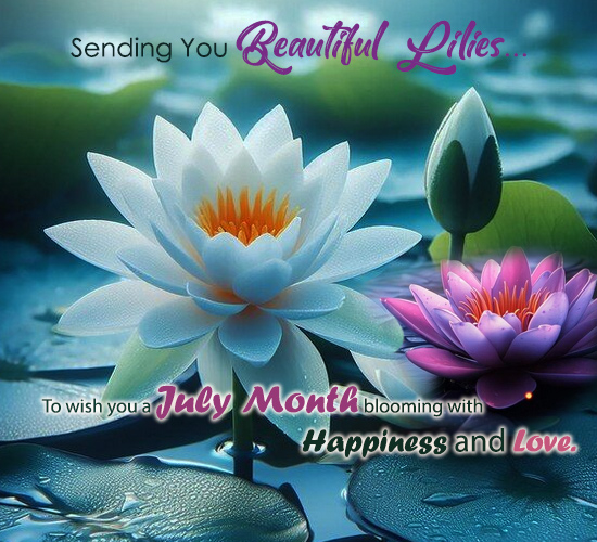 Beautiful Water Lilies...
