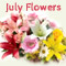 Beautiful July Flowers Just...