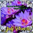 My Happy July Flowers Card For You.