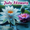 Beautiful Water Lilies...