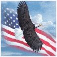 America Soars Strong And Proud...