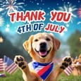 Thanks For July 4th Joy