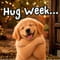 Hug Week Happiness
