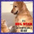 My Cute Hug Week Card.