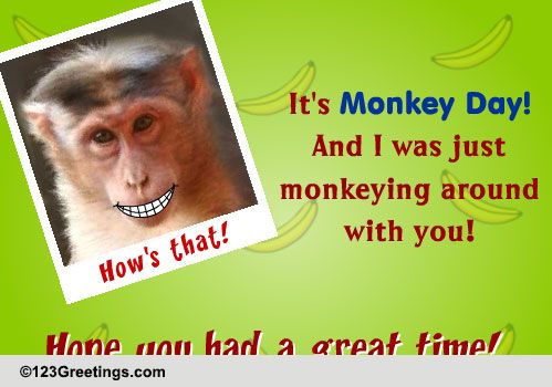 Monkey Day Dance Ecard. Free Monkey Day eCards, Greeting Cards