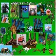 Wonders Of The Wild!!