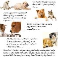 Home : Events : Best Friends Day [Jun 8] - Happy Best Friends Day, Friend.