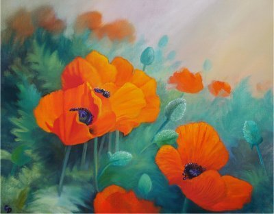 Red Poppies