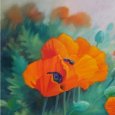 Red Poppies