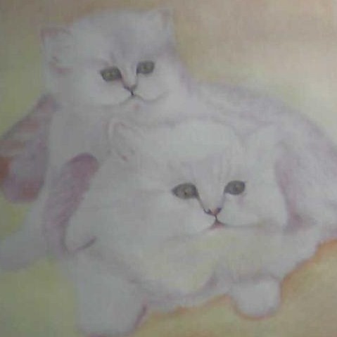 Cuddle Kitten Day.