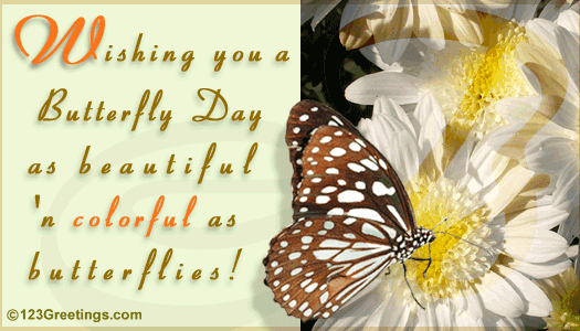 have a wonderful day with butterflies images