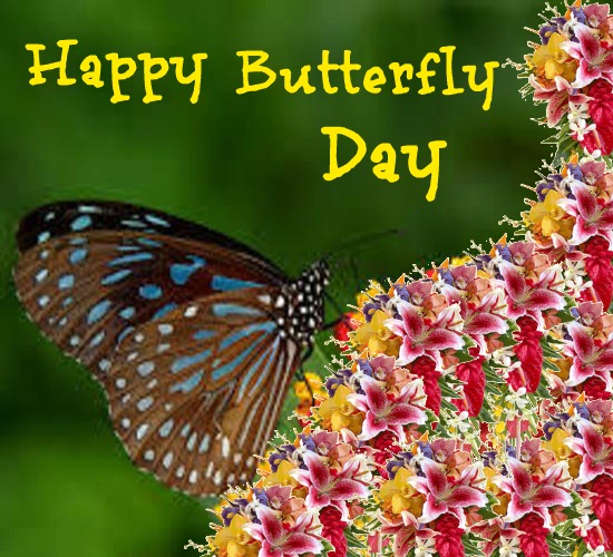 Happy Butterfly Day To All. Free Butterfly Day eCards, Greeting Cards