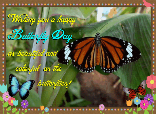 Colorful As The Butterflies. Free Butterfly Day eCards, Greeting Cards |  123 Greetings