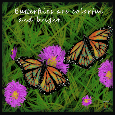 Butterfly Day Encouragement!