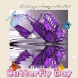 A Happy And Beautiful Butterfly Day.