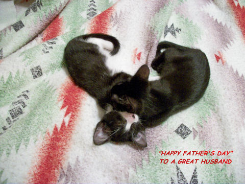 Husband Card With Cats.