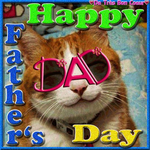 Happy Fathers Day Cat Gif