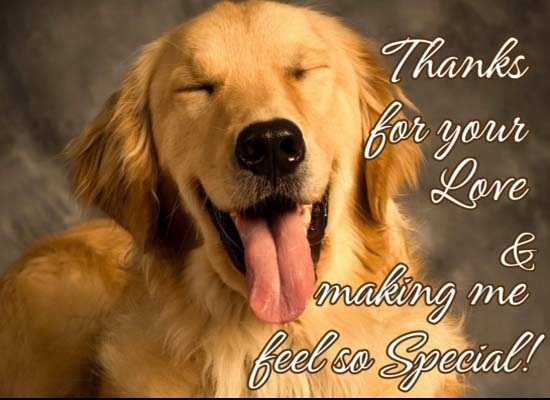 Perfect Father’s Day Thank You Card. Free Thank You eCards | 123 Greetings