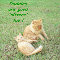 Father%92s Day Cat And Kitten.