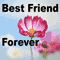 Best Friends Forever Flower