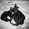 Hug Holiday Kittens.