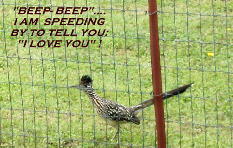 Profess Your Love Day Creature.