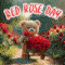 Red Rose Just For 