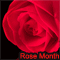 Romantic Wishes On Rose Month.
