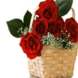 The Rose Speaks Of Love Silently.