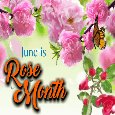 June Is Rose Month.