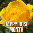Happy Rose Month To You!!