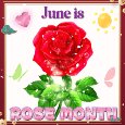 Rose Month Card For You.