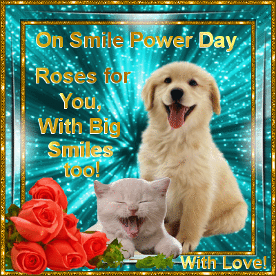 smile power day w dog & cat